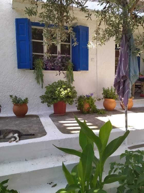 Stamoulis Apartments Kampos Marathokampou Exterior photo